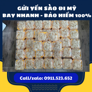 Vận chuyển hàng 2 chiều VN - US giá rẻ