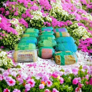 CÔNG TY CHẢ LỤA SÀI GÒN
