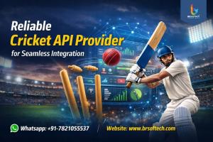 Reliable Cricket API Provider for Seamless Integration | BR Softech
